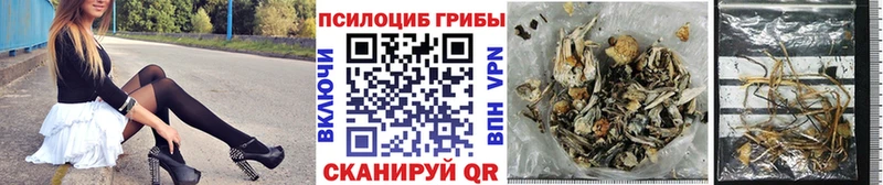 Купить где  Туринск  Псилоцибиновые грибы мухоморы 